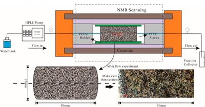Evolution of pore structure during fines migration in sand pack: NMR experimental and numerical investigations